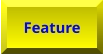 Feature Feature