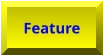 Feature Feature