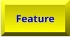 Feature Feature